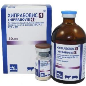 Вакцина Хіпрабовіс-4 інактивовована / жива